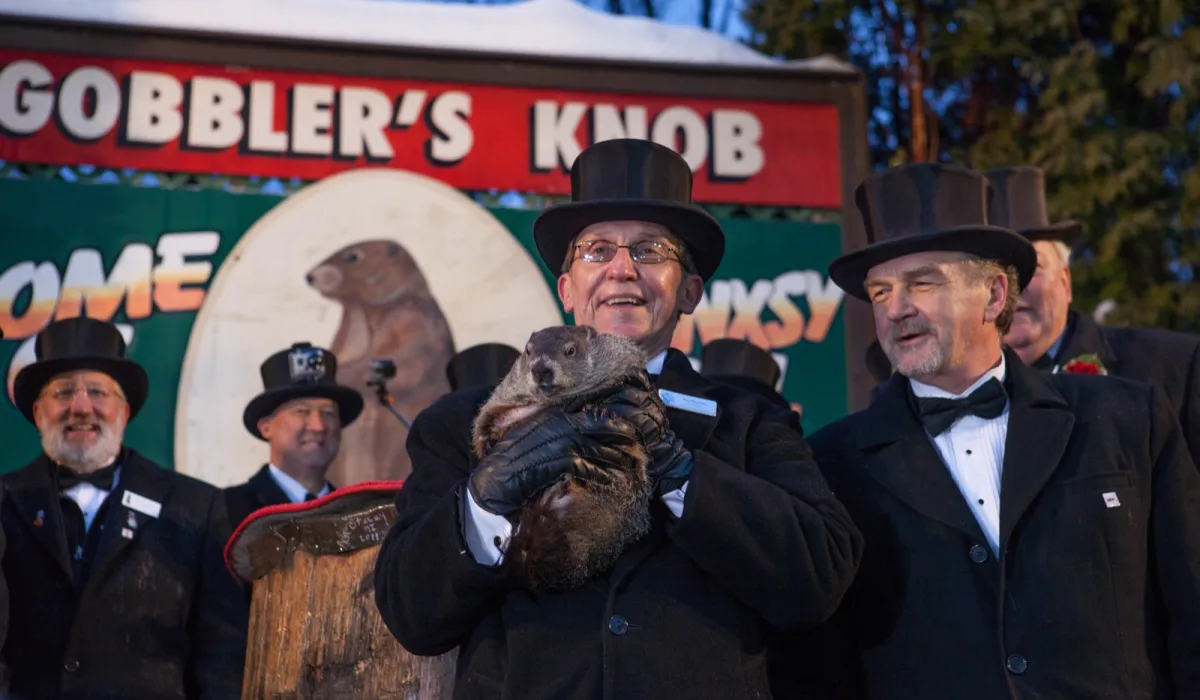 Punxsutawney Phil bei Gobbler’s Knob in Punxsutawney, Pennsylvania