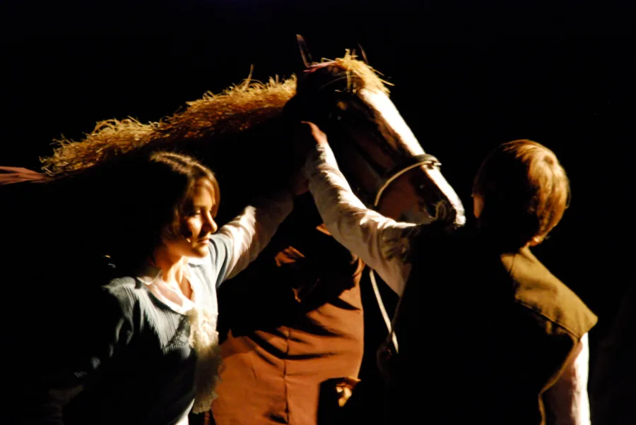 3 Musketiere