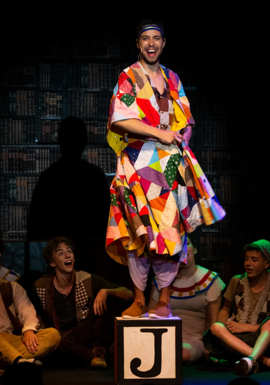 Joseph and the Amazing Technicolor Dreamcoat