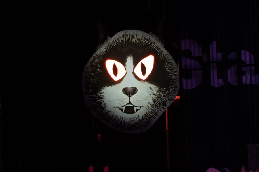Cats