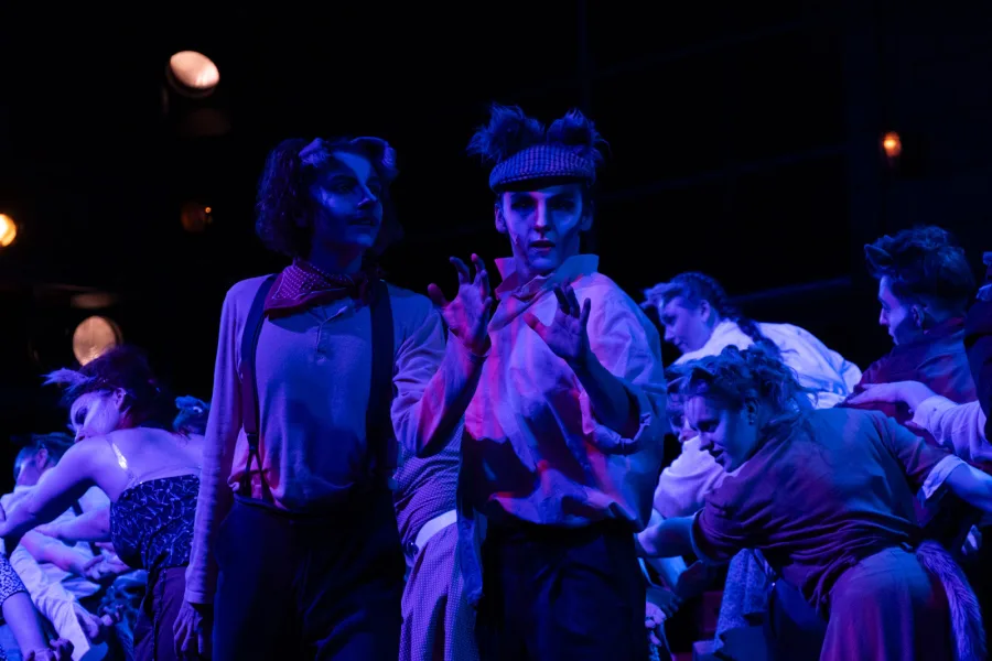 Cats