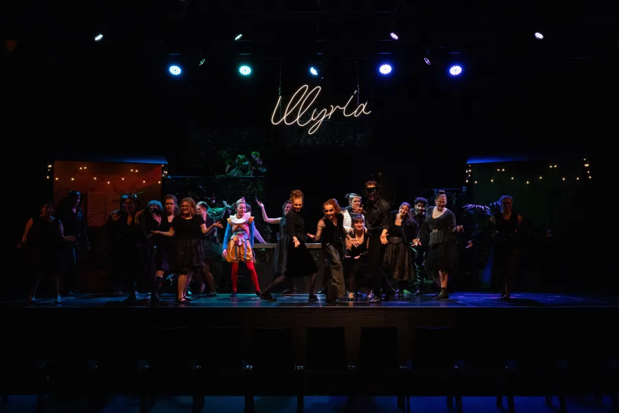 Was ihr wollt