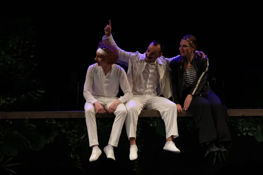 Was ihr wollt