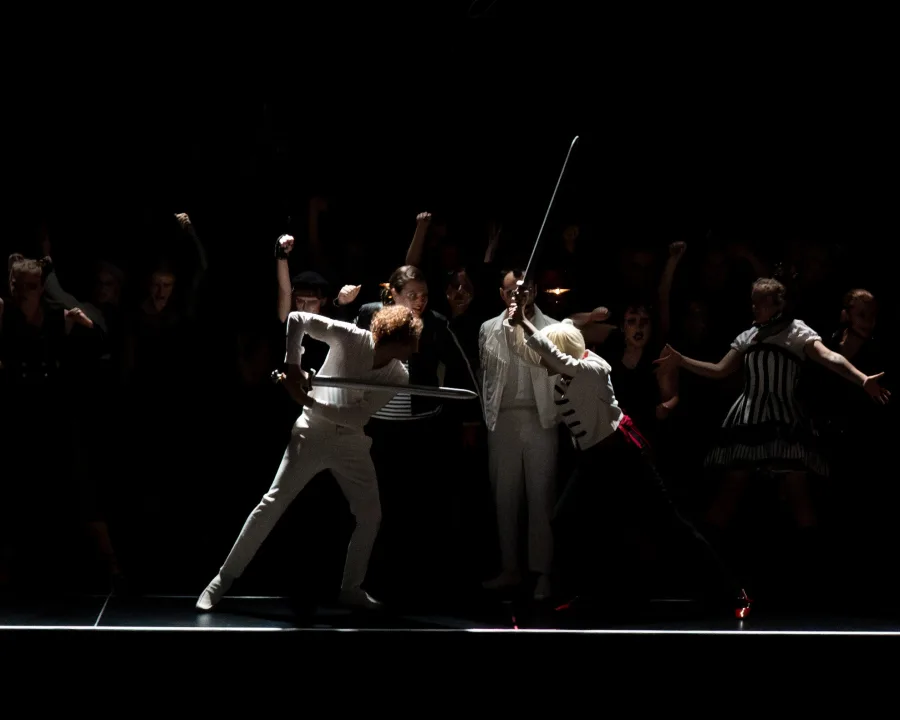 Was ihr wollt